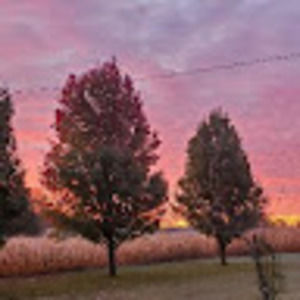 Meet your Posher, Leeann